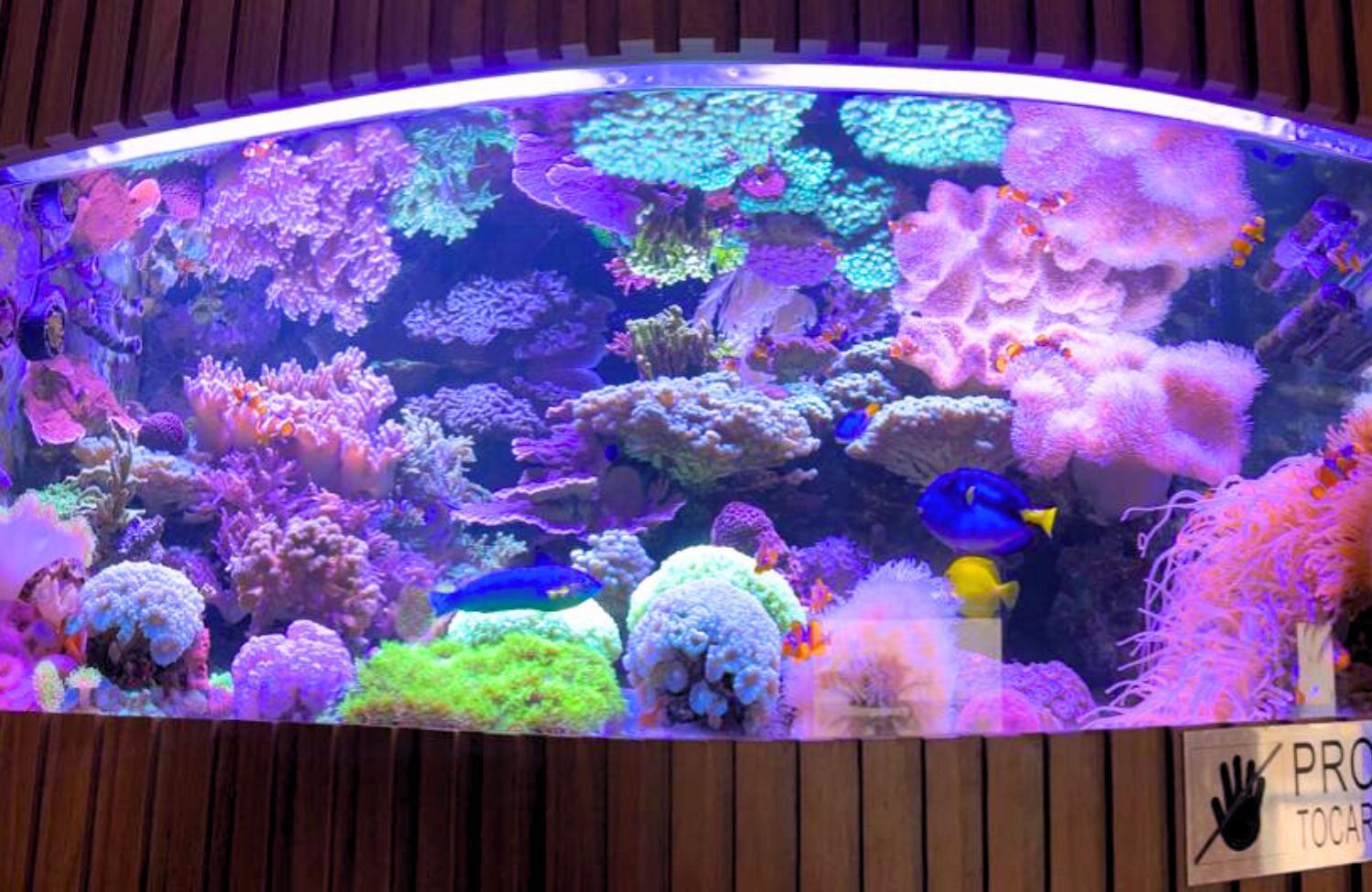 גוארפארי Hotel Atlantico מראה חיצוני תמונה